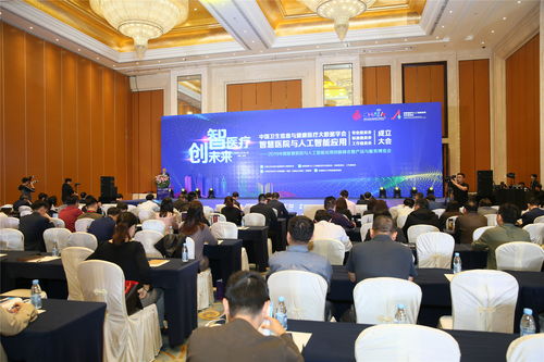 三委员会同时成立，助推智慧医疗再升温——2019中国智慧医院与人工智能应用创新峰会暨产品与服务博览会在皖召开市场营销策划